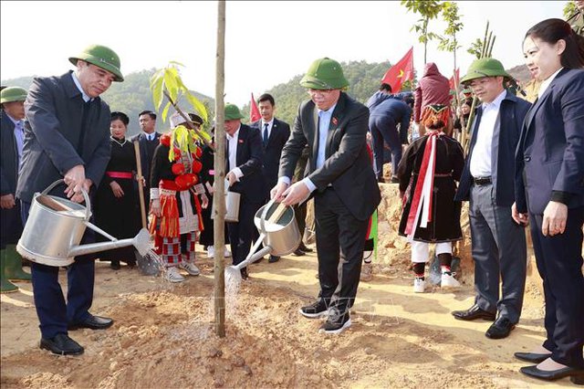 Chủ tịch Quốc hội dự Lễ phát động thi đua và Tết trồng cây tại Tuyên Quang